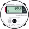 Funkintegrierte Warmwasser Messkapsel ISTA 2" WaterStar M Q3 = 2,5 (Qn 1,5)